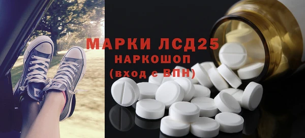 индика Володарск