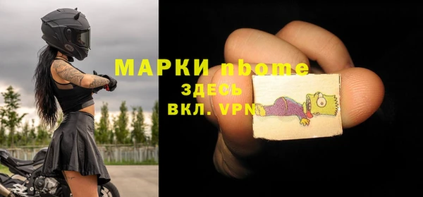 индика Володарск