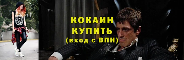 индика Володарск