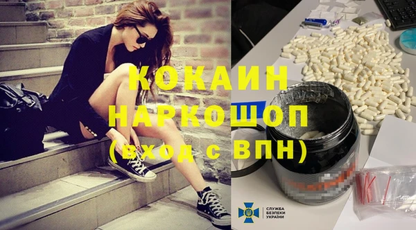 индика Володарск
