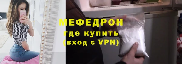 индика Володарск