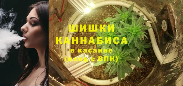 индика Володарск