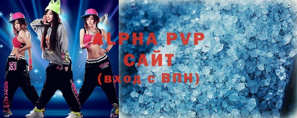 индика Волоколамск