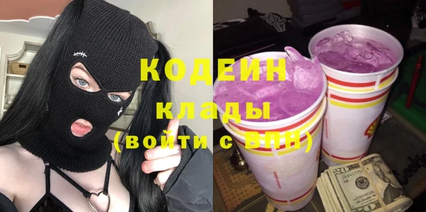 индика Волоколамск