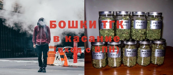 индика Володарск