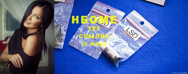индика Волоколамск