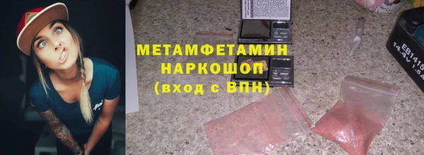 индика Волоколамск